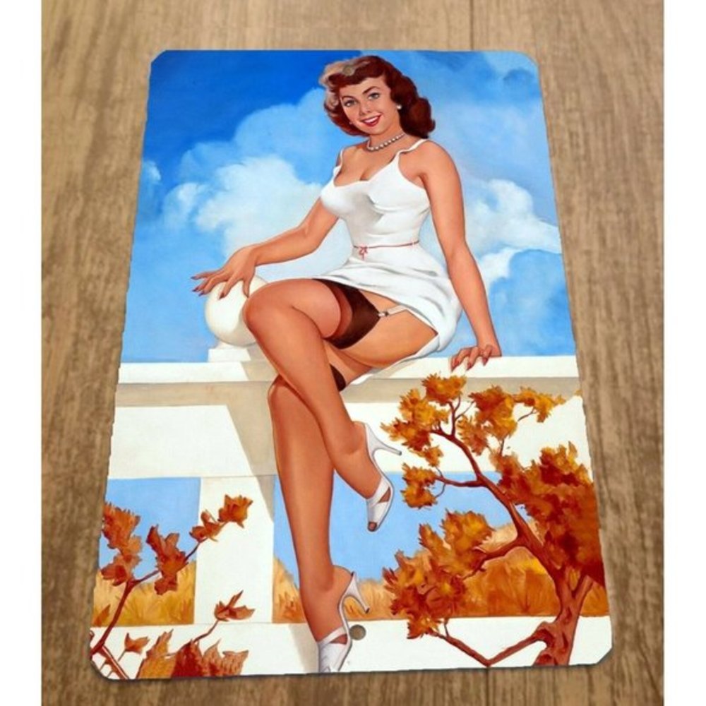 Brunette on Rail Artwork Pinup Girl 8x12 Metal Wall Vintage Misc Poster Sign‎
